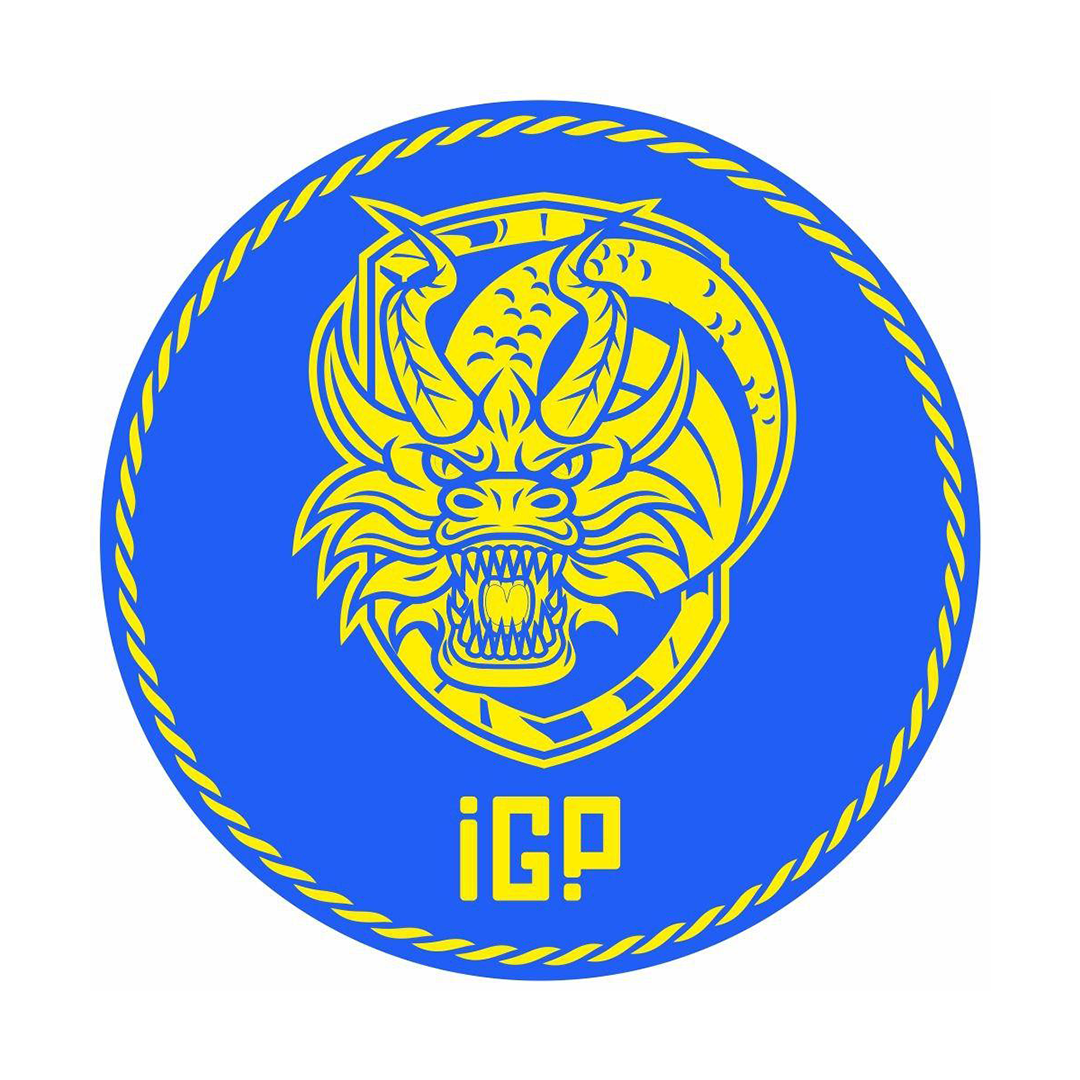 Двухцветная ГОБО линза