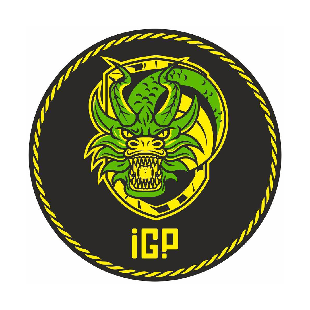 Трехцветная ГОБО линза